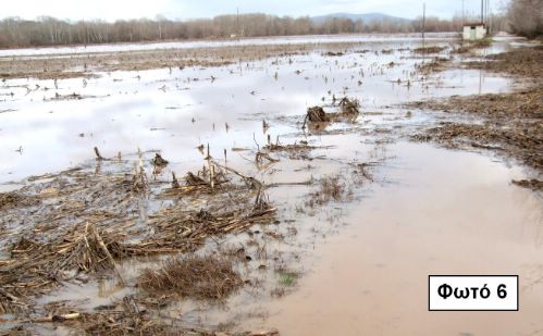 «Έγκλημα χωρίς τιμωρία» - Του Νίκου Σαλέπη