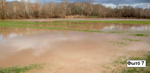 «Έγκλημα χωρίς τιμωρία» - Του Νίκου Σαλέπη