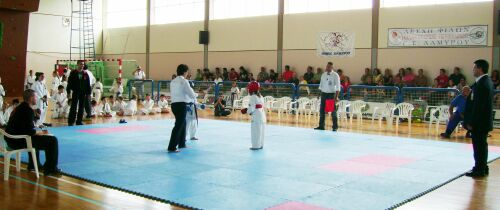 Μεγάλες διακρίσεις του Α.Σ  Shidokan Καλαμπάκας 