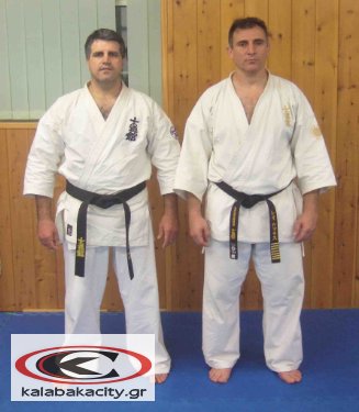 Πανελλήνιο Σεμινάριο Shidokan καράτε