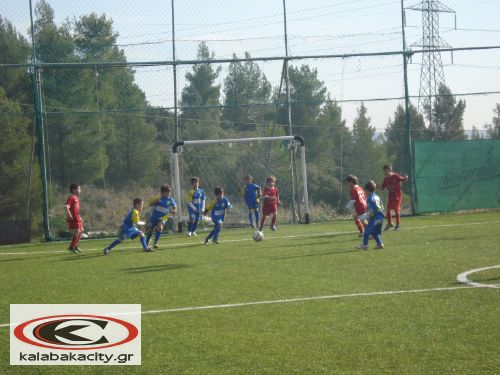 Ακαδημία Α.Σ Μετέωρα