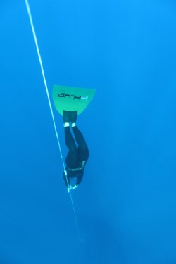 Σύλλογος Υποβρύχιας Αλιείας & Ελεύθερης Κατάδυσης  "ΕΥΦΗΜΟΣ"