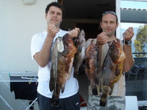 Σύλλογος Υποβρύχιας Αλιείας & Ελεύθερης Κατάδυσης  "ΕΥΦΗΜΟΣ"