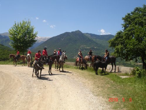 Ιππικός Σύλλογος Τρικάλων Βουκεφάλας
