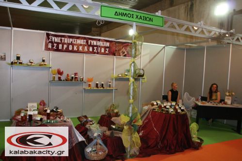 Γενική Έκθεση Τρικάλων - Xenagos EXPO 2010