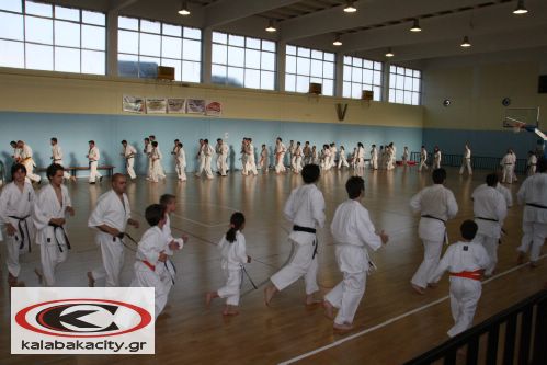 1o Summer Camp Kyokushinkai karate στην Καλαμπάκα