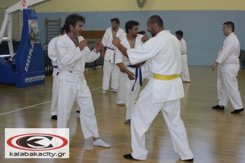 1o Summer Camp Kyokushinkai karate στην Καλαμπάκα
