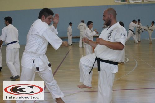 1o Summer Camp Kyokushinkai karate στην Καλαμπάκα
