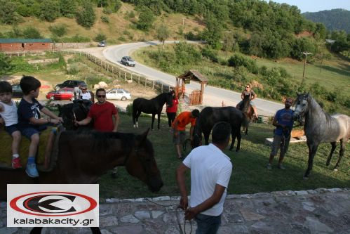 caza_di_calo_IMG_9422