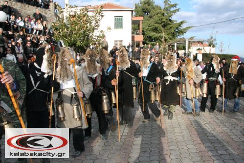 rogatziaria_oxyneia_IMG_0234