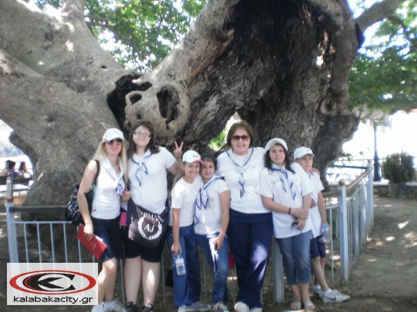 seo_kalampakas_P6170186