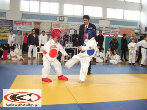shidokan3