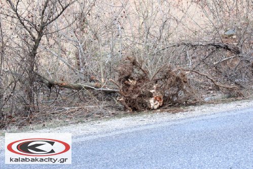 dromos ampelia IMG 3756