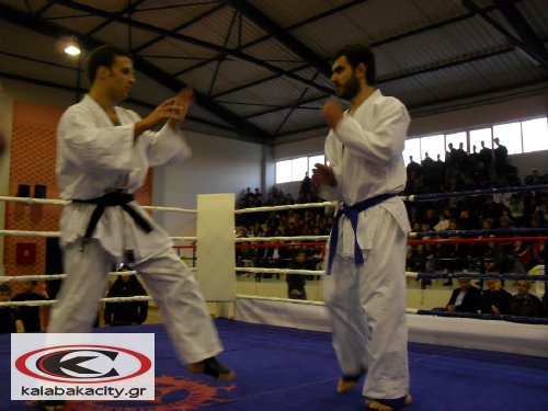 as karate SDC13532