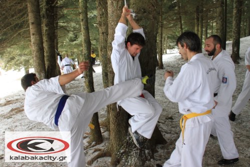 karate winter cump 201210