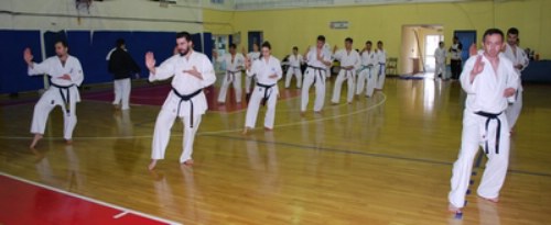 shidokan17