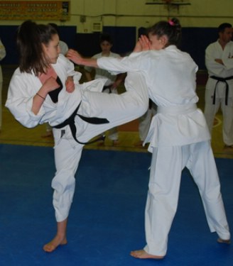 shidokan3