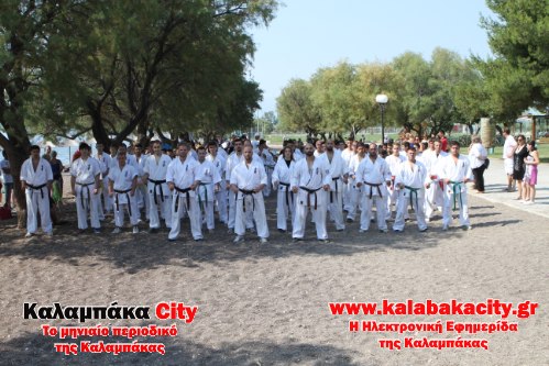 karate IMG 2191