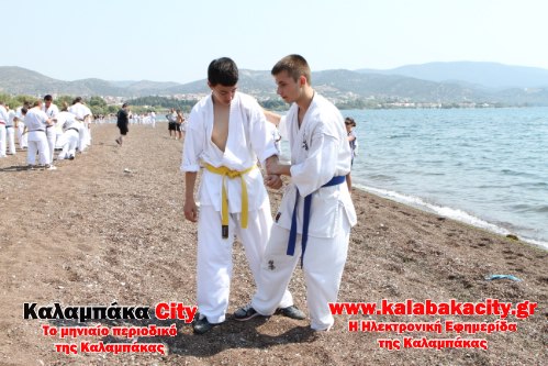 karate IMG 2430