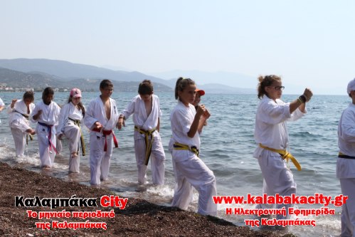 karate IMG 2486