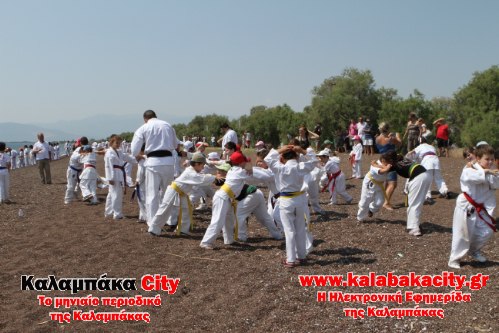 karate IMG 2542