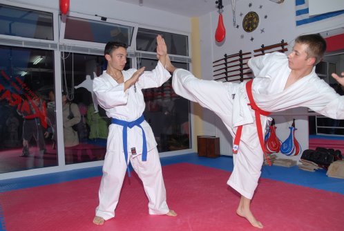 papapoulios budo DSC 4587