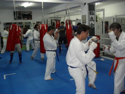 papapoulios budo SDC11716