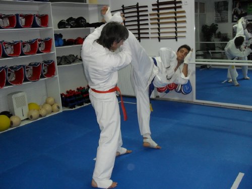papapoulios budo SDC11725