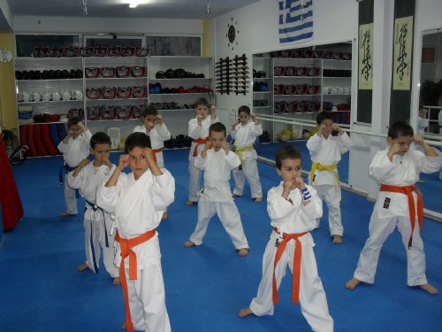 papapoulios budo SDC11736