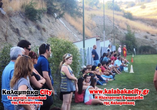 skepari kypello DSC07154