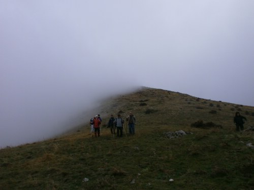 pitsilous pitsilous3