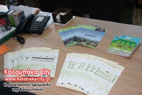 arktouros kalcityyyy006