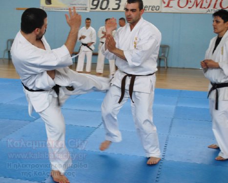 shidokan 19 