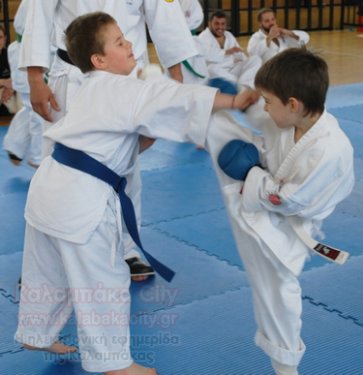 shidokan 21