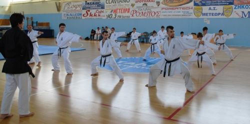 shidokan seminario1