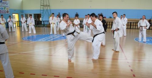shidokan seminario2
