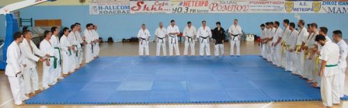 shidokan seminario4