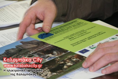 arktouros pin IMG 0675