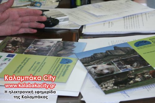 arktouros pin IMG 0676