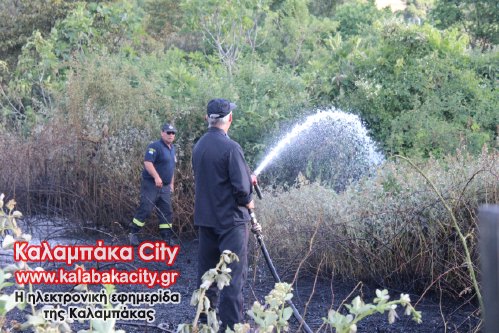 fotia astrakiIMG 6678