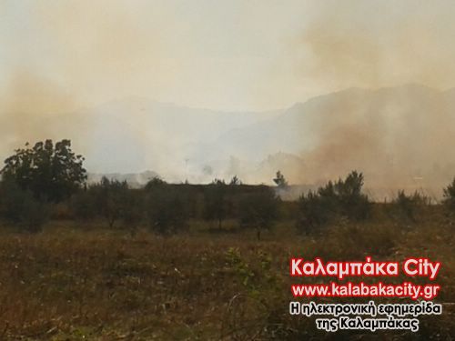 kalam 20131019 140350