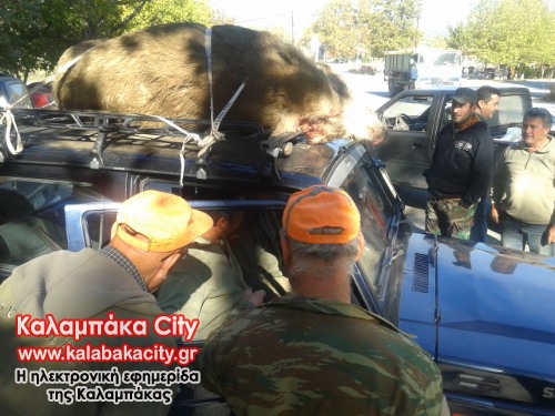 agrio 2013-11-03 10.45.00