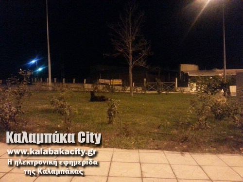 alogo 1476873 10202905270974630 1086656971 n