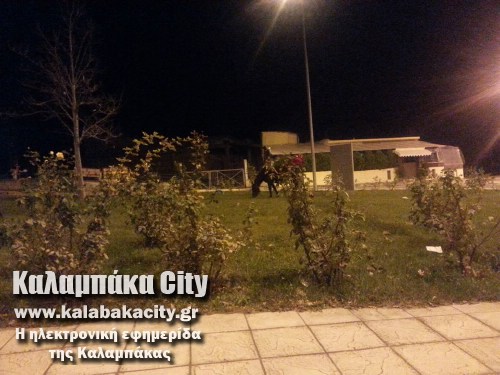 alogo 1477906 10202905271614646 1369756604 n