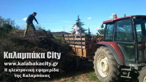 diava 1795918 278982738945436 2086373622 o