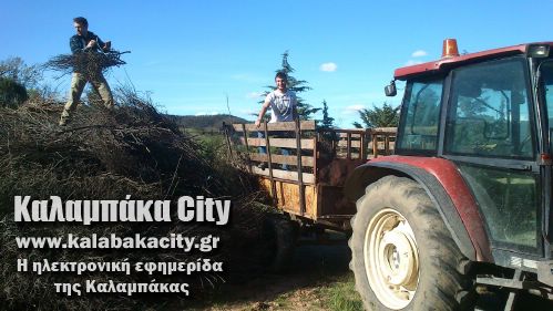 diava 1920980 278982805612096 1249034254 o