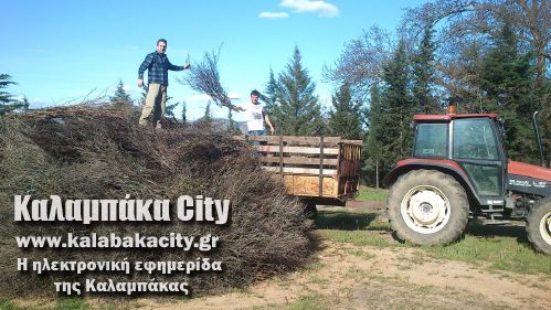 diava 1926155 278982928945417 955071987 o