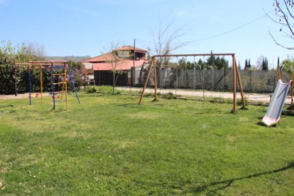 mandragoras IMG 7663