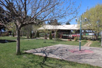 Μανδραγόρας