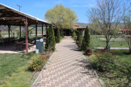 Μανδραγόρας